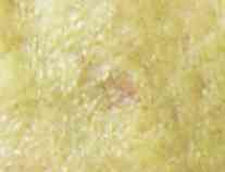 RaizaCreme,beautiful skin,beauty Cr�me,wrinkle ,complexion,cream,skin,liver spot,hypoallergenic, pure, ,face,hands,results,facial,  eczema, psoriasis, affordable